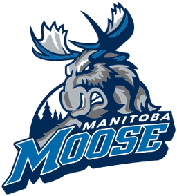 Manitoba Moose